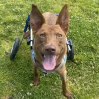 1. Mateo: Courtesy Post