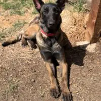 Sasha: Courtesy Post