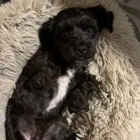 Murphy: Courtesy Post