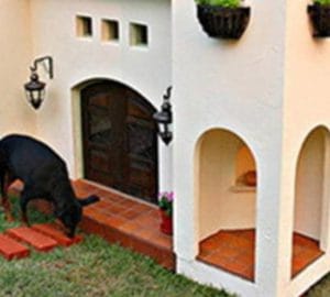 Buying a New Home: Tips for Dog Lovers