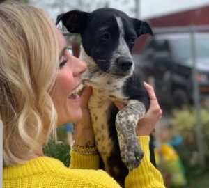 Tappy Tail: Lizzo, now SAMMY!