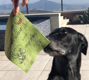 Izzy’s Journey with Dogs & Ever Green Cloth™