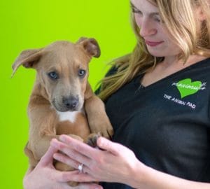 S&N: The hottest term at TAPACT