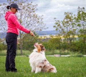 Positive Reinforcement – The Best Method for Training Your Rescue Pup