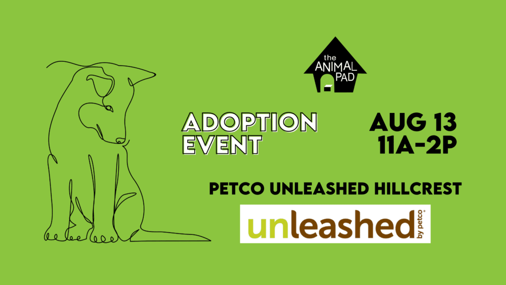 Unleashed Adoption Event (Hillcrest) - The Animal Pad