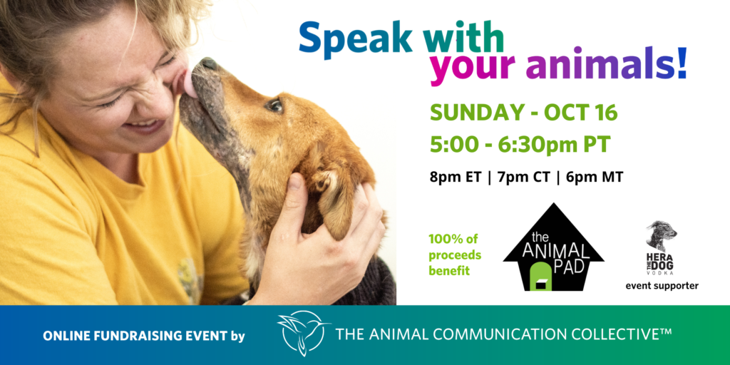 An Evening of Sharing Messages with The Animal Communication Collective -  The Animal Pad