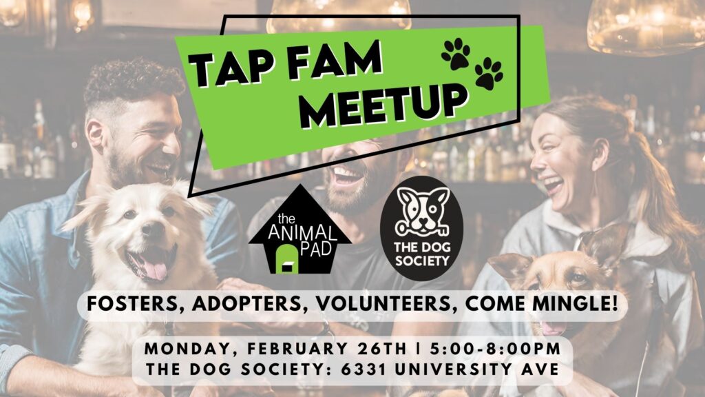 tap fam meetup at the dog society