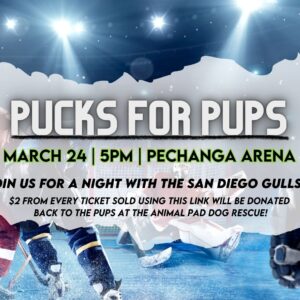 pucks for pups