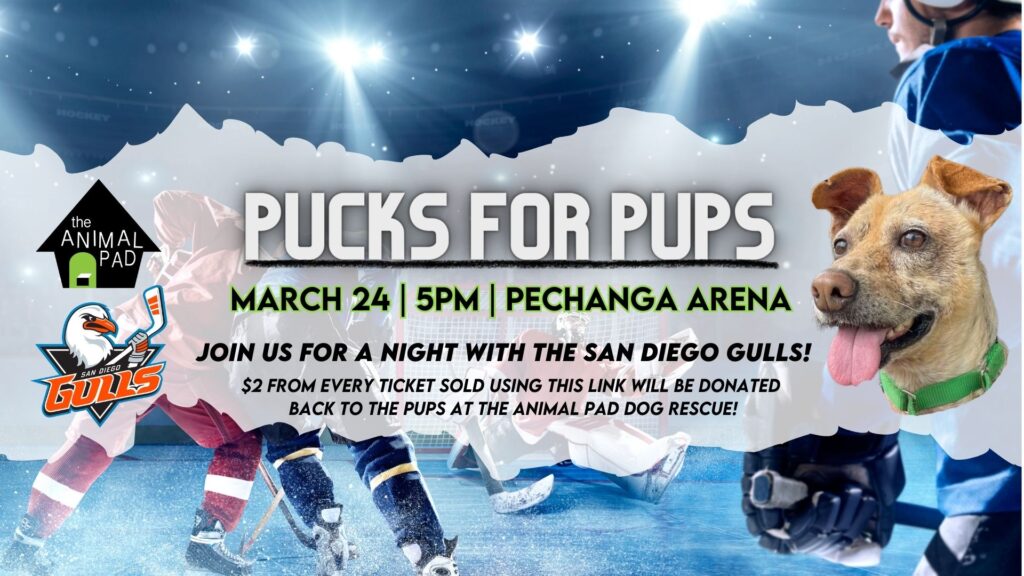 pucks for pups