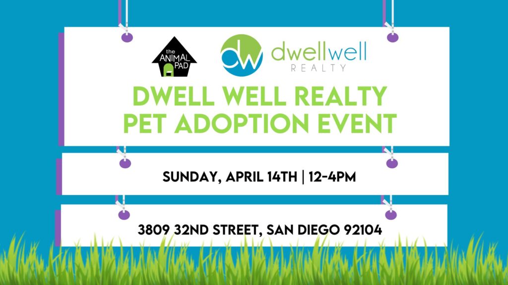 Dwell Well Realty Pet Adoption Event