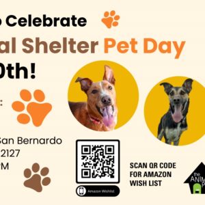 National Adopt a Shelter Pet Day