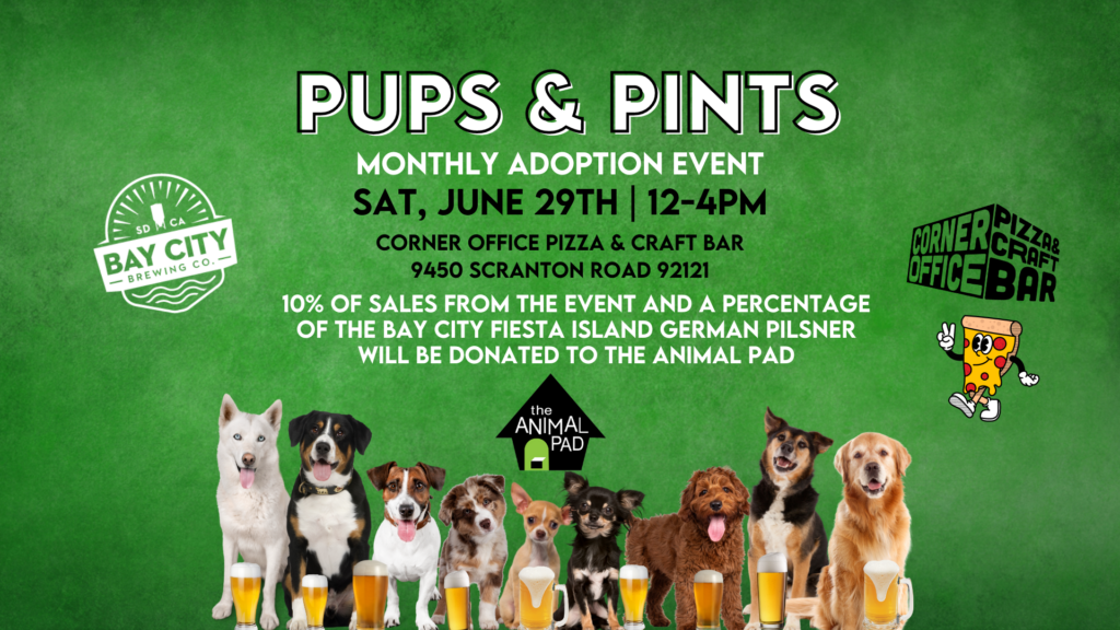 Monthly Adoption Event at Corner Office Pizza and Craft Bar