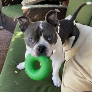 Atreyu