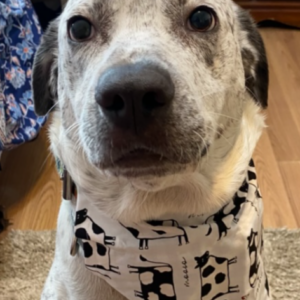 Tater: Courtesy Post