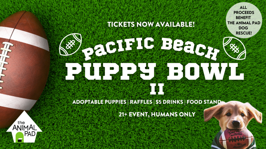 Puppy Bowl II