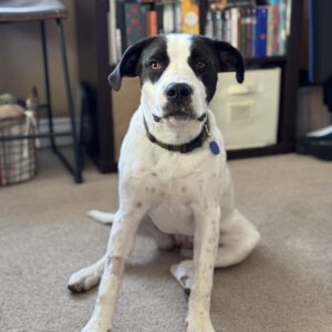 Dottie: Courtesy Post