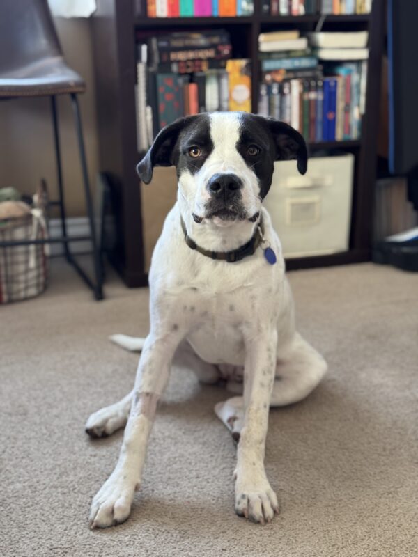 Dottie: Courtesy Post