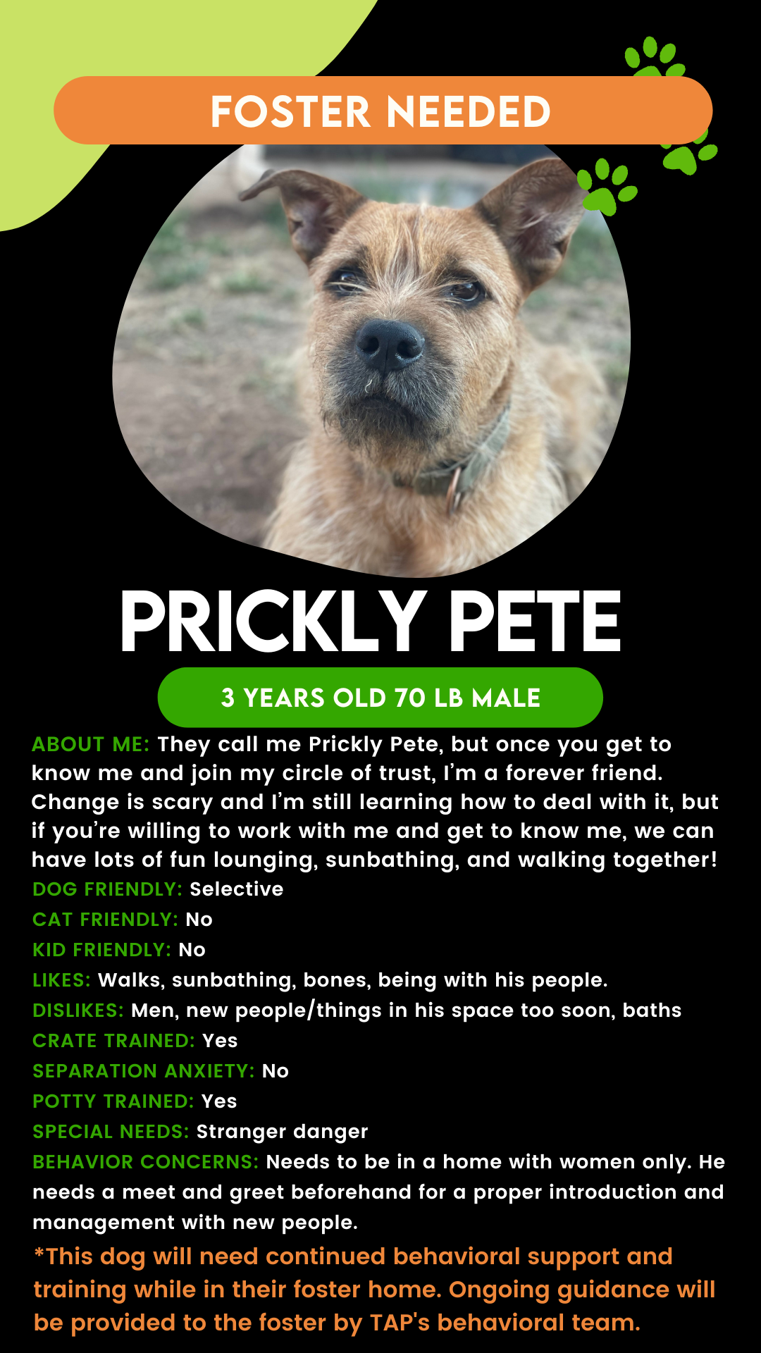 Prickly Pete