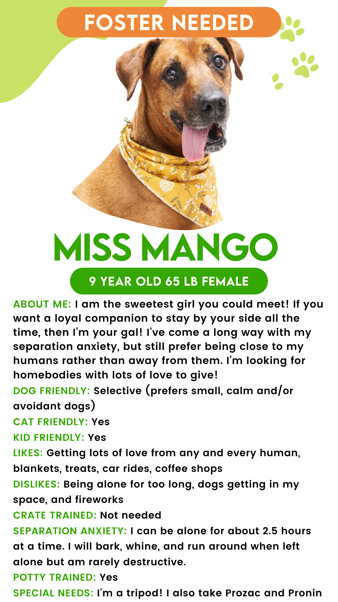 Miss Mango