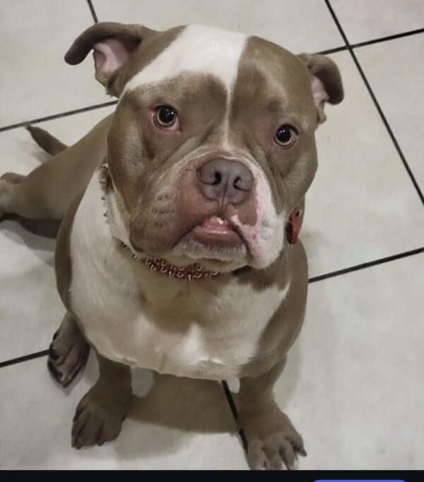 Bronx: Courtesy Post