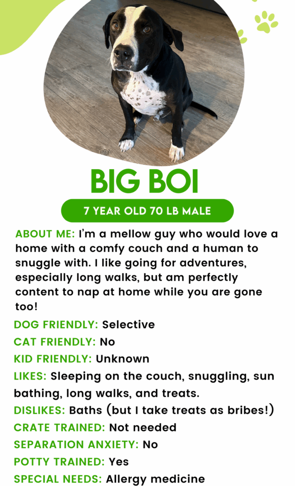 Big Boi