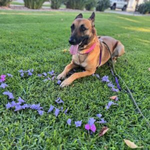 Zoey: Courtesy Post