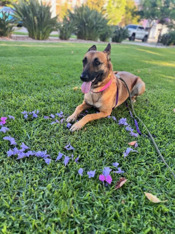 Zoey: Courtesy Post