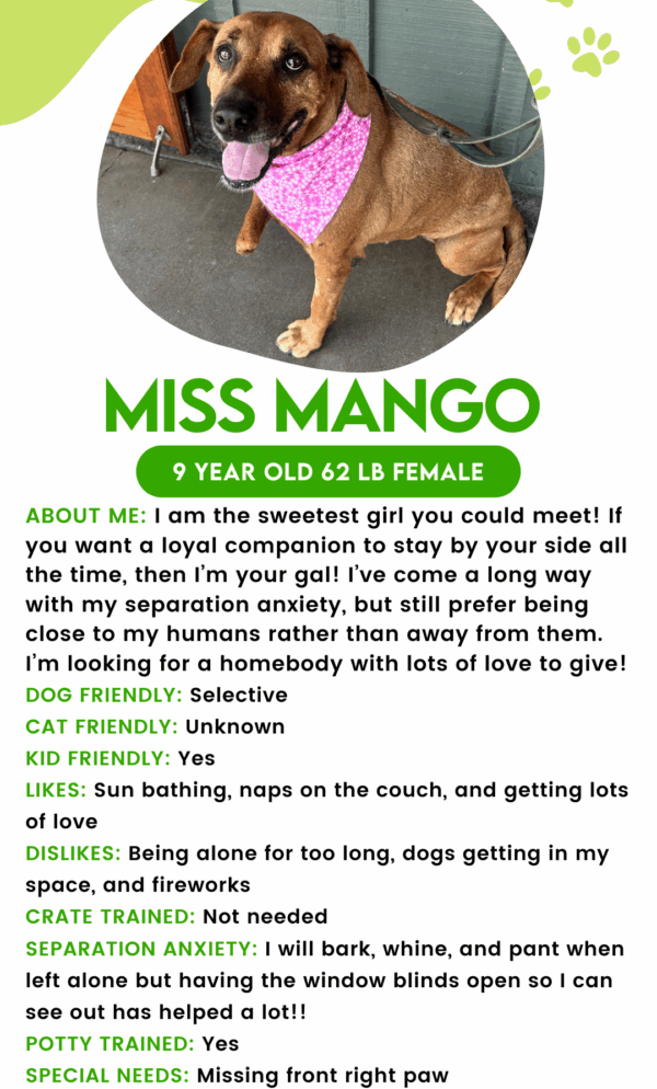 Miss Mango