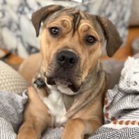 Baby Jack: Courtesy Post