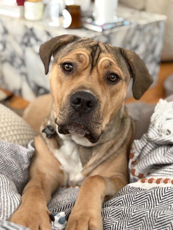 Baby Jack: Courtesy Post