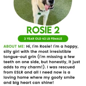 Rosie
