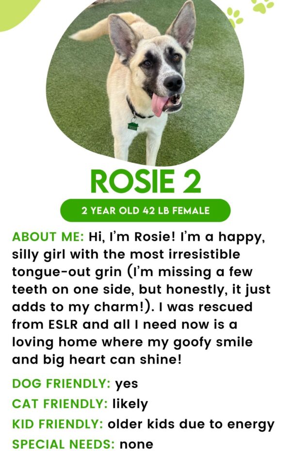Rosie