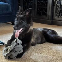 Sonny: Courtesy Post