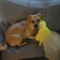 Thelma Lou McGovern: Courtesy Post
