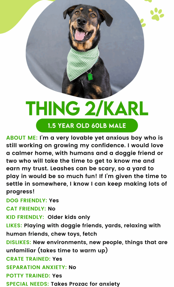 Thing 2 / Karl