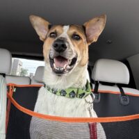Frida: Courtesy Post