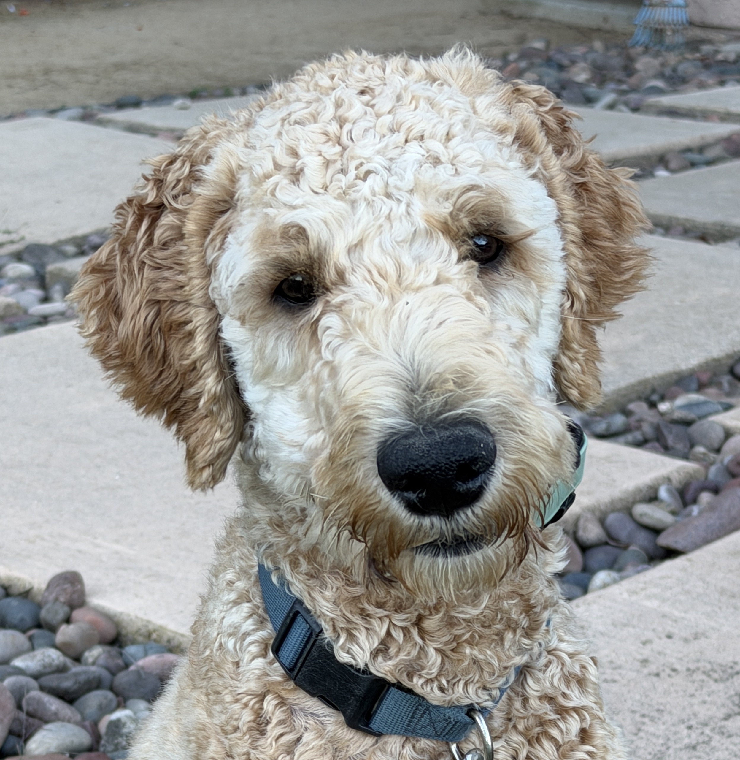 Journey: Courtesy Post