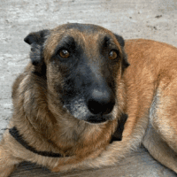 Camila: Courtesy Post