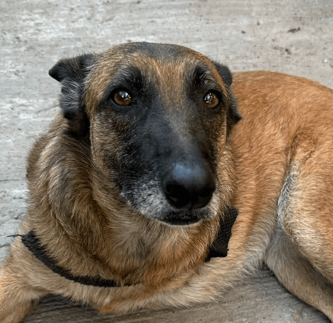 Camila: Courtesy Post