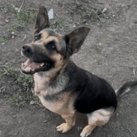 Fritos: Courtesy Post