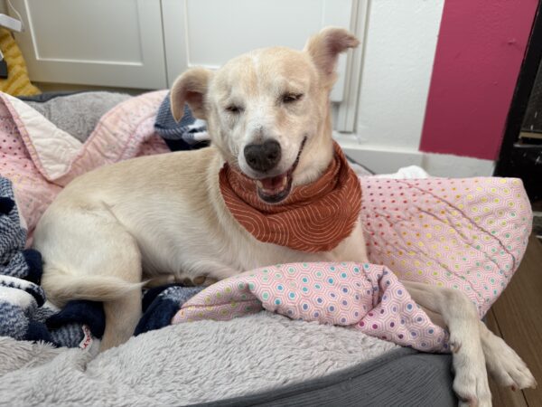 Helen: Courtesy Post