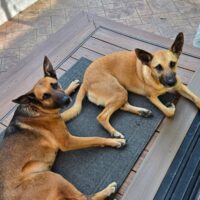 2. Thelma and Louisa (A Mother–Daughter Duo): Courtesy Post