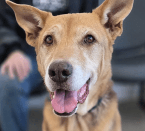 0- Callahan – Rocky: Courtesy Post10y M med