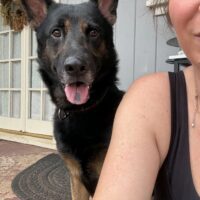 Zebedee: Courtesy Post